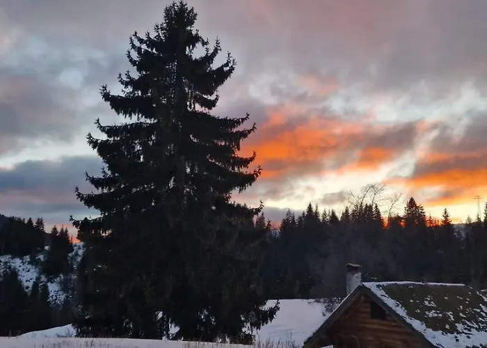 Hotel Хотел Гела 3*